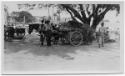 J.E.H. and wife Joan MacDonald, photographers
West Indies, Spring 1932 - Stand for Carts
blac…