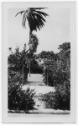 J.E.H. and wife Joan MacDonald, photographers
West Indies, Spring 1932
black and white print…