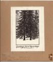 Thoreau MacDonald (1901 - 1989)
Greetings from Tapawingo (original Christmas card design for R…