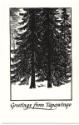 Thoreau MacDonald (1901 - 1989)
Greetings from Tapawingo (Christmas card designed for Robert a…