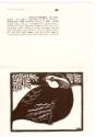 Thoreau MacDonald  (1901 - 1989)
Quail (card design contributed to benefit UNICEF, the United …