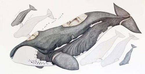 Photo Credit: Craig Boyko