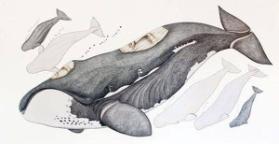 Photo Credit: Craig Boyko