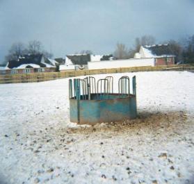 Feeder (study from the Niagara series)