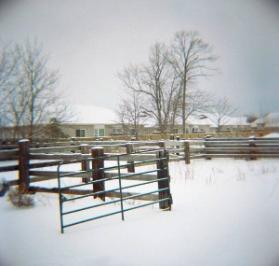 Gate (study from the Niagara series)