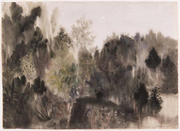 Northern Forest