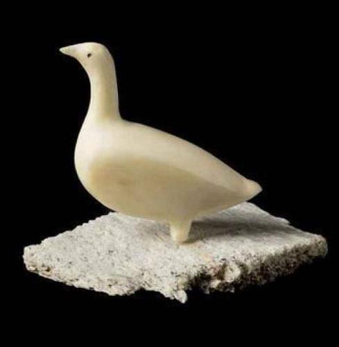 Standing Bird