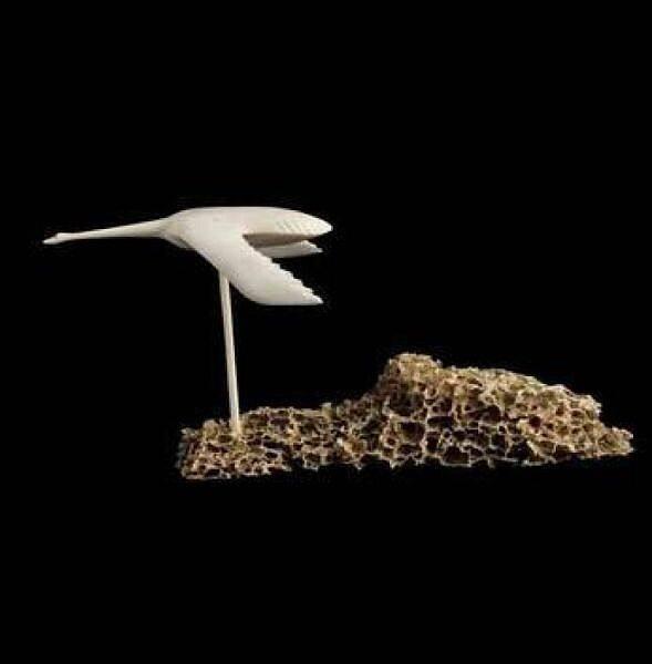 Flying Bird