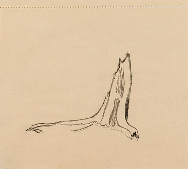 Photo Credit: Toni Hafkenscheid