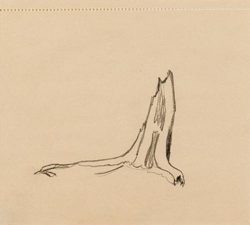 Photo Credit: Toni Hafkenscheid