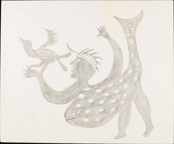 Drawing for print Taleelayo with Sea Bird