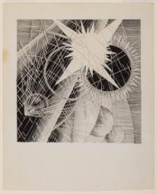 Photo Credit: Toni Hafkenscheid