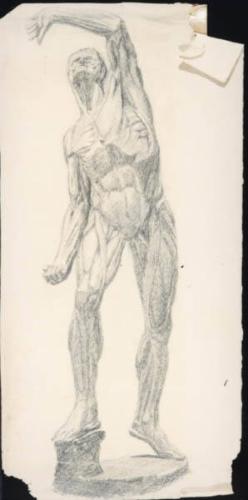 Untitled (anatomical drawing of muscles of male body) (R); Untitled (man's legs) (V)