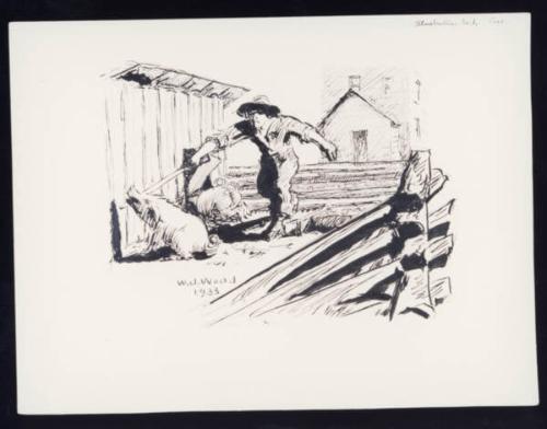 Illustration No. 1 Pigs
