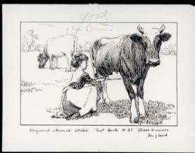 Untitled (woman milking cow)