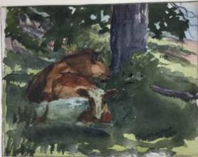 Two Cows