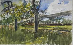 Fence and Field
