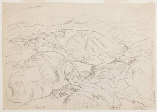 Photo Credit: Toni Hafkenscheid