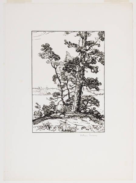 Photo Credit: Toni Hafkenscheid