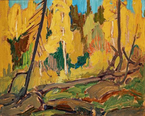 Photo Credit: Toni Hafkenscheid