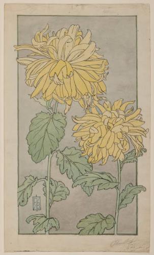 Photo Credit: Toni Hafkenscheid