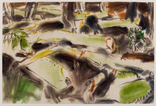 Photo Credit: Toni Hafkenscheid