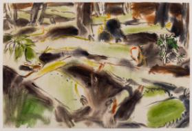 Photo Credit: Toni Hafkenscheid