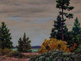 Photo Credit: Toni Hafkenscheid