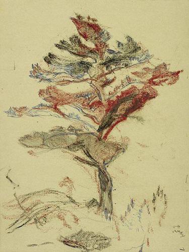 Photo: Alexandra Cousins