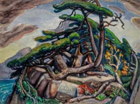 Photo Credit: Toni Hafkenscheid