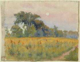 Photo Credit: Craig Boyko