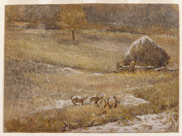 Photo Credit: Toni Hafkenscheid