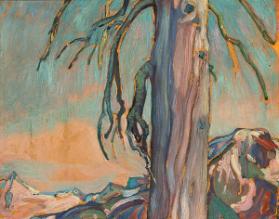 Photo Credit: Toni Hafkenscheid