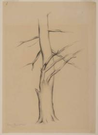 Photo Credit: Toni Hafkenscheid