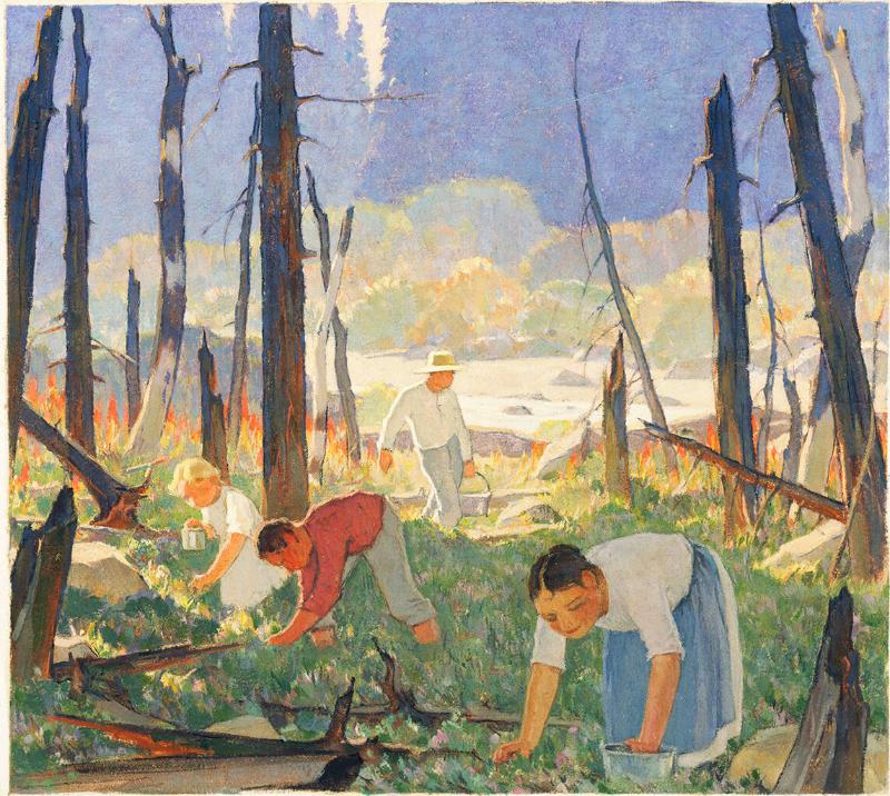 Picking Blueberries