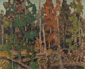 Photo Credit: Toni Hafkenscheid