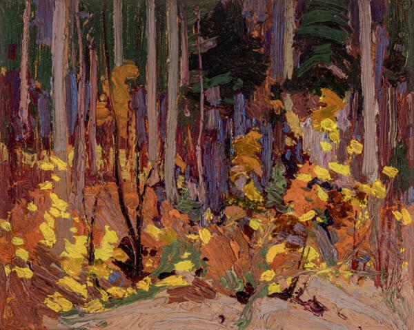 Photo Credit: Toni Hafkenscheid