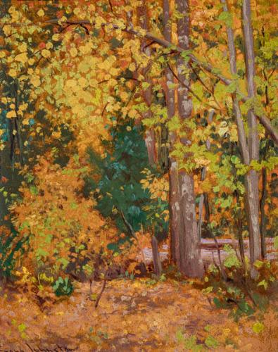 Photo Credit: Toni Hafkenscheid