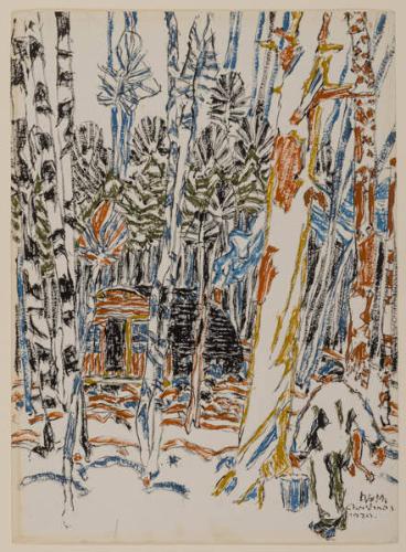 Photo Credit: Toni Hafkenscheid