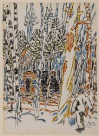 Photo Credit: Toni Hafkenscheid