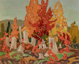 Photo Credit: Toni Hafkenscheid