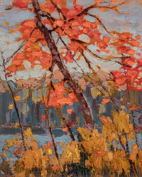 Photo Credit: Toni Hafkenscheid