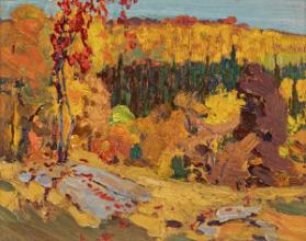 Photo Credit: Toni Hafkenscheid