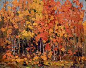 Photo Credit: Toni Hafkenscheid