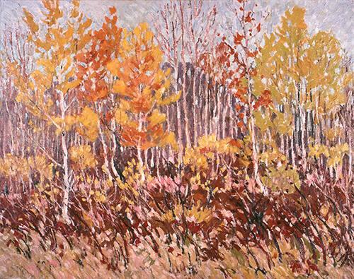 Autumn Forest