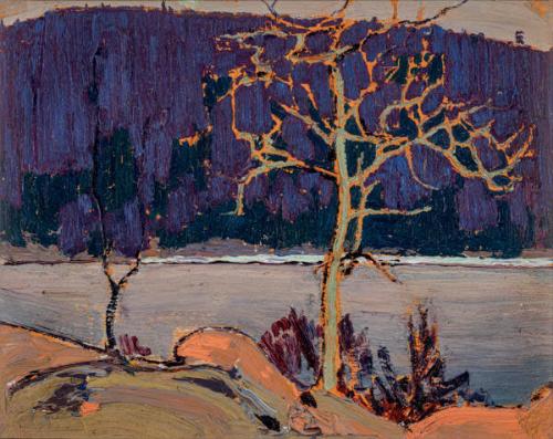 Photo Credit: Toni Hafkenscheid