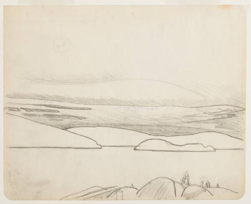 Photo Credit: Toni Hafkenscheid