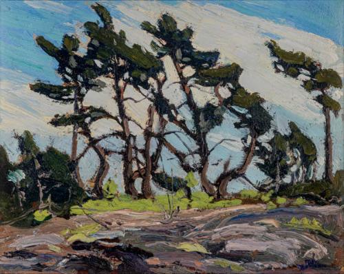 Photo Credit: Toni Hafkenscheid