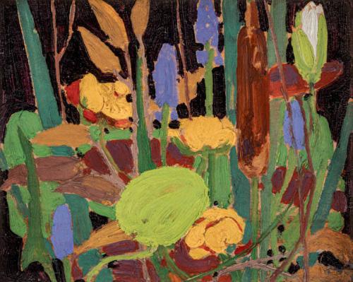 Photo Credit: Toni Hafkenscheid