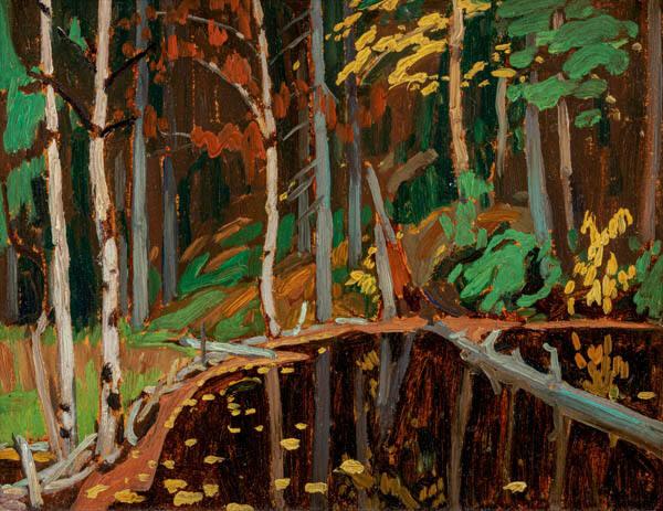 Photo Credit: Toni Hafkenscheid